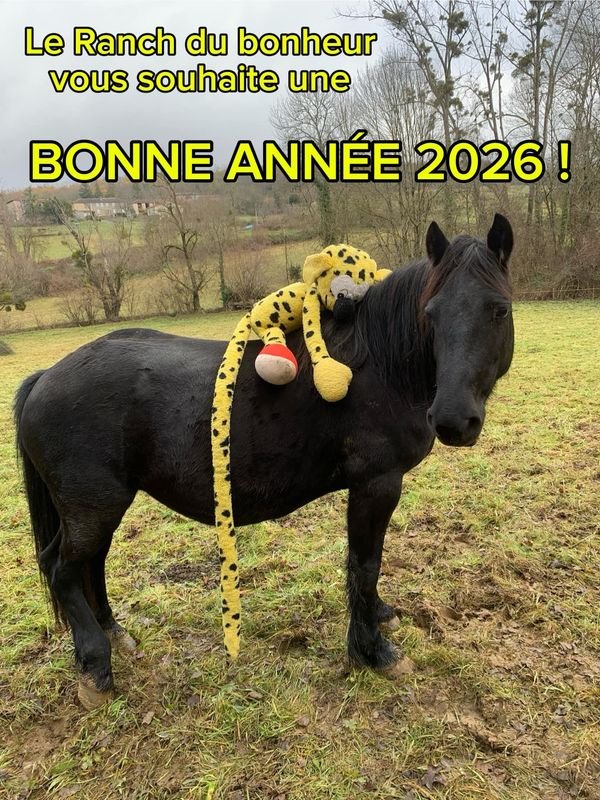 Photo 3 de Le Ranch du Bonheur